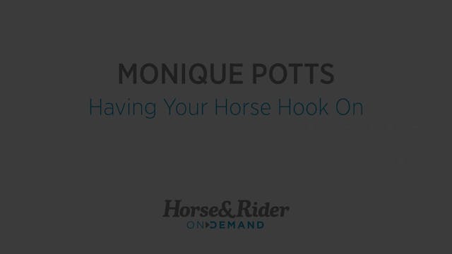 Have Your Horse Hook on During Ground...