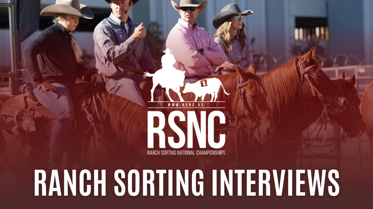 Ranch Sorting Interviews