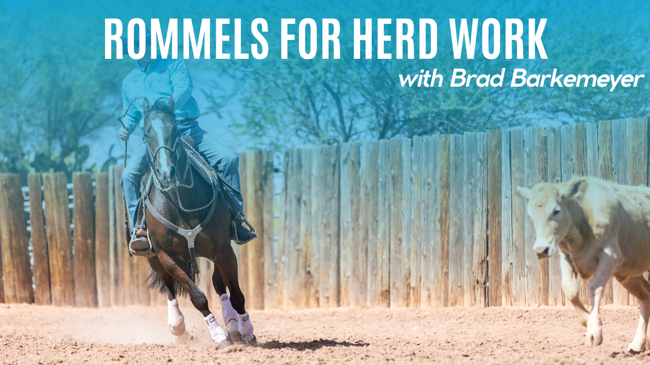 Rommels For Herd Work