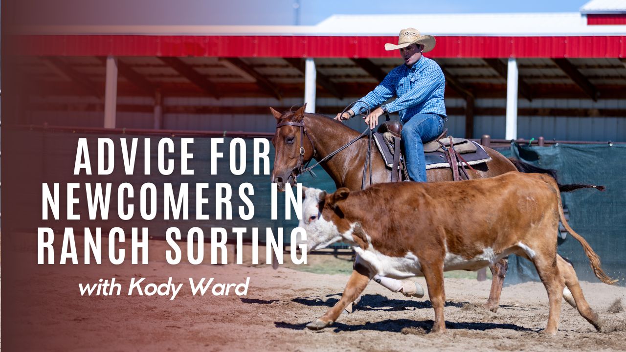 Advice For Newcomers In Ranch Sorting