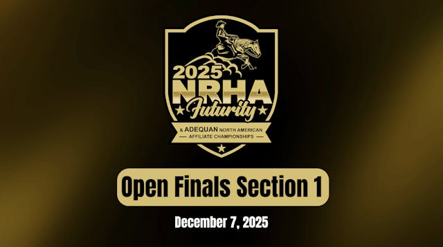 Open Finals Section 1 | NRHA Futurity...