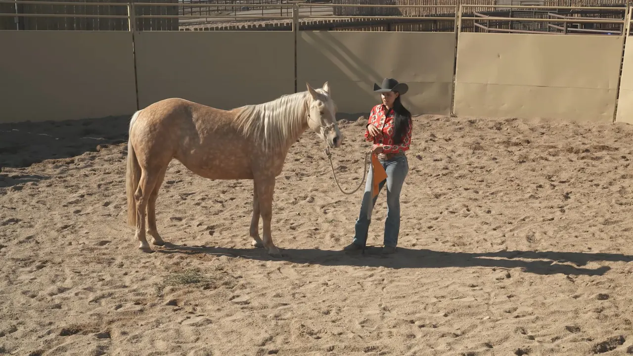 Liberty Work in the Round Pen - RIDE TV