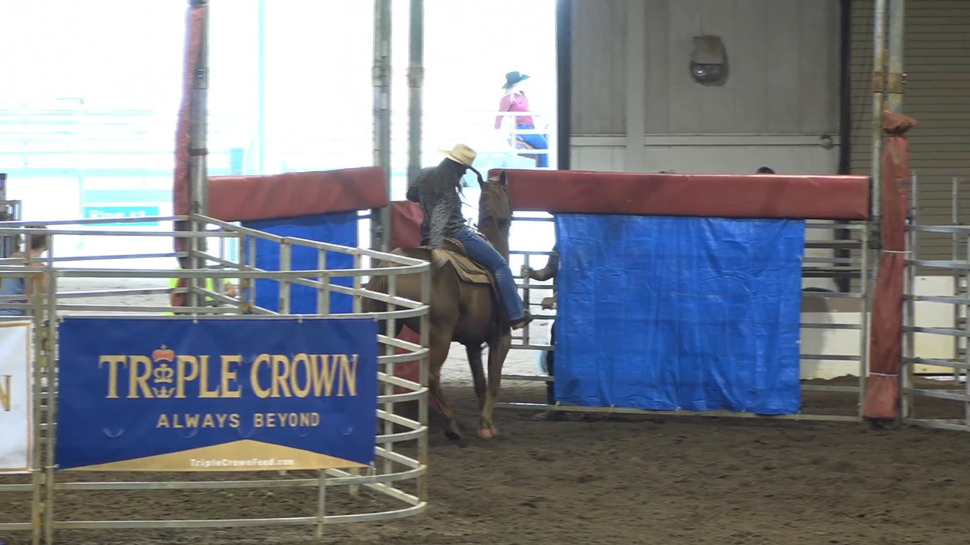 2019 NBHA GA Op2 #315-311