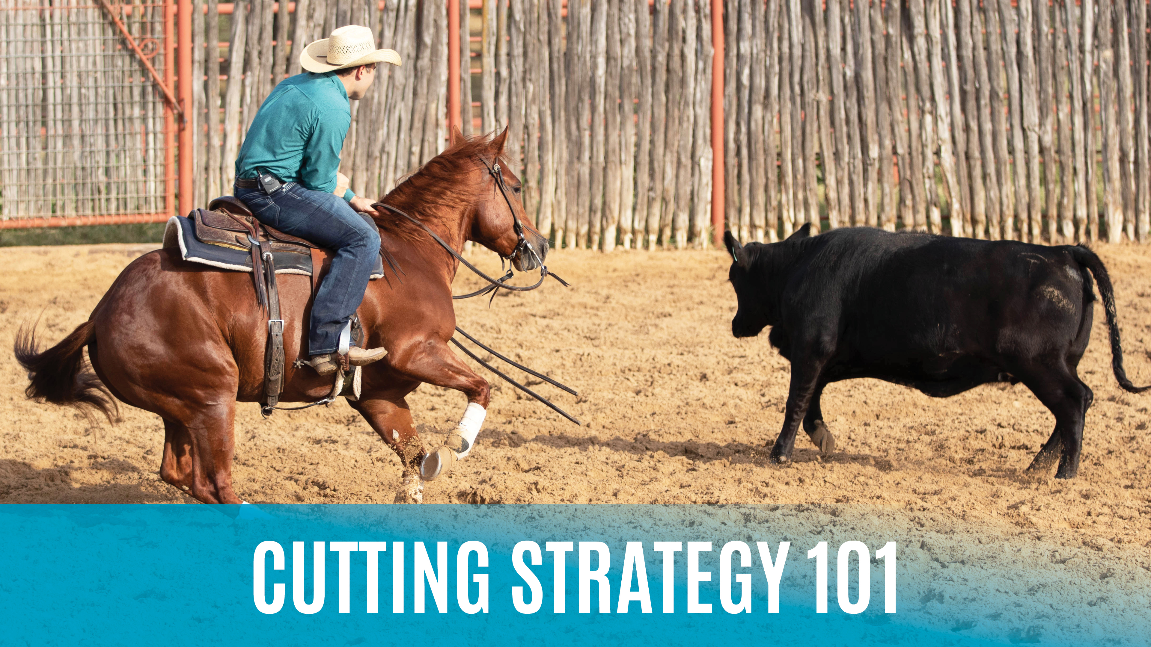 Cutting Strategy 101