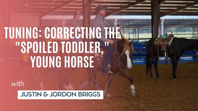 Tuning: Correcting the "Spoiled Toddler," Young Horse