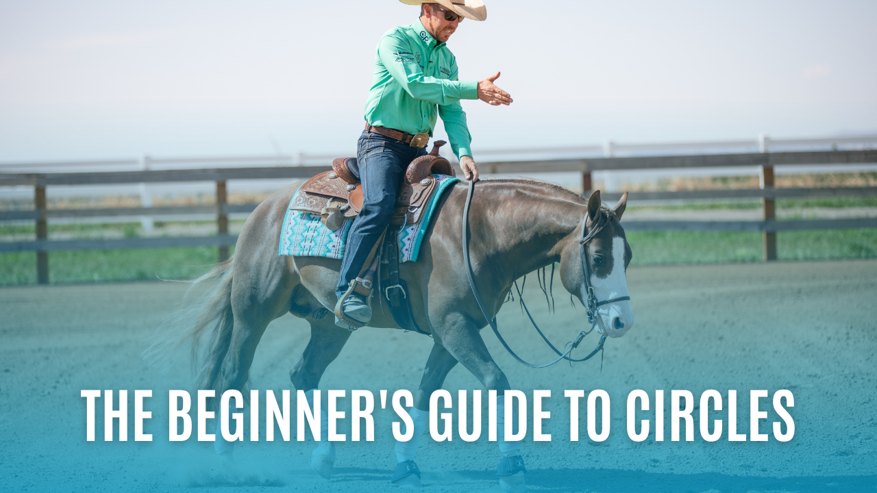 The Beginner's Guide to Circles