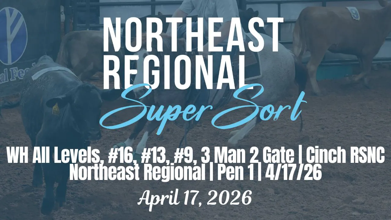 All Levels, #16, #13, #9, 3M2G | Cinch RSNC Northeast Regional | Pen 1 ...