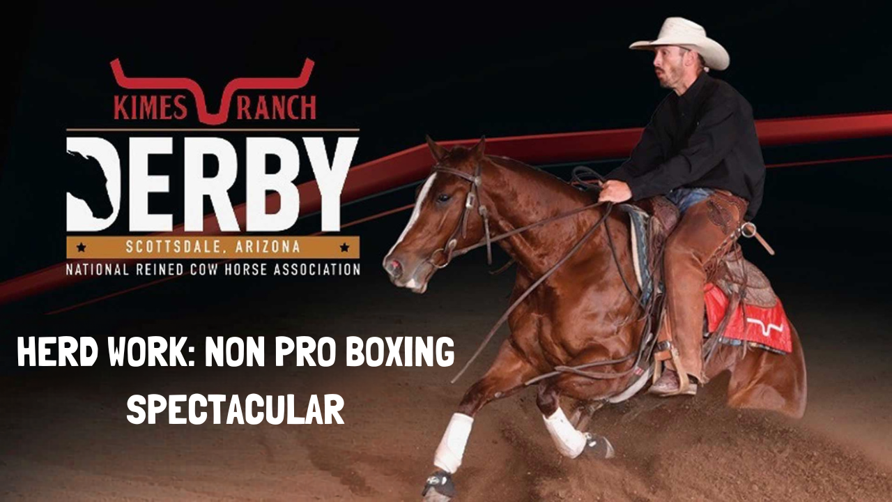 Herd Work: Non Pro Boxing Spectacular | 2026 NRCHA Derby | NorthHall