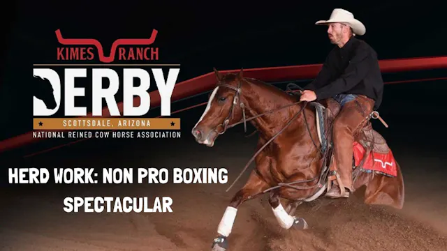 Herd Work: Non Pro Boxing Spectacular...