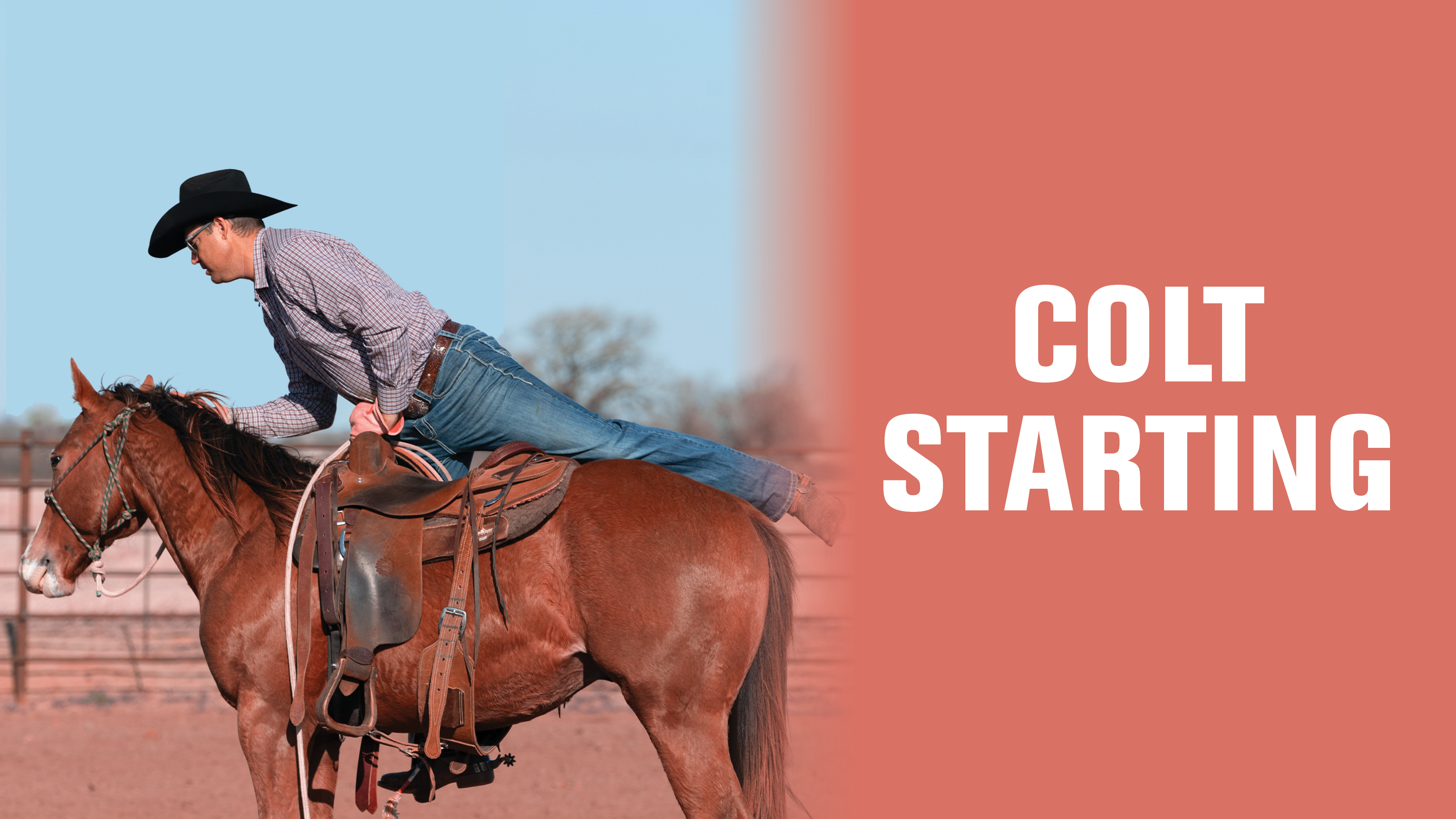 Colt Starting