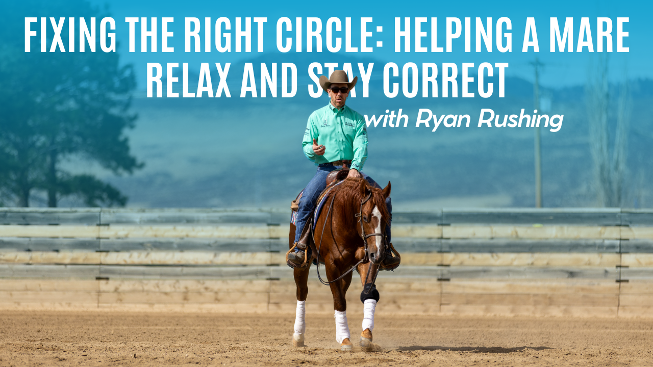 Fixing the Right Circle: Helping a Mare Relax and Stay Correct