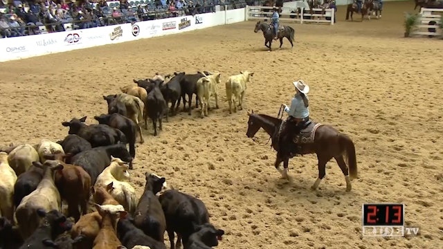 2016 NCHA Super Stakes Non-Pro Finals