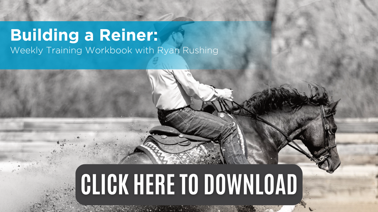 Building a Reiner Workbook