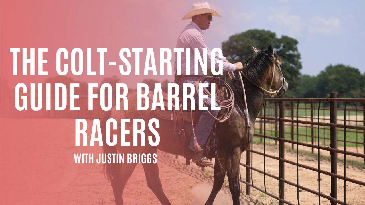 The Colt-Starting Guide for Barrel Racers