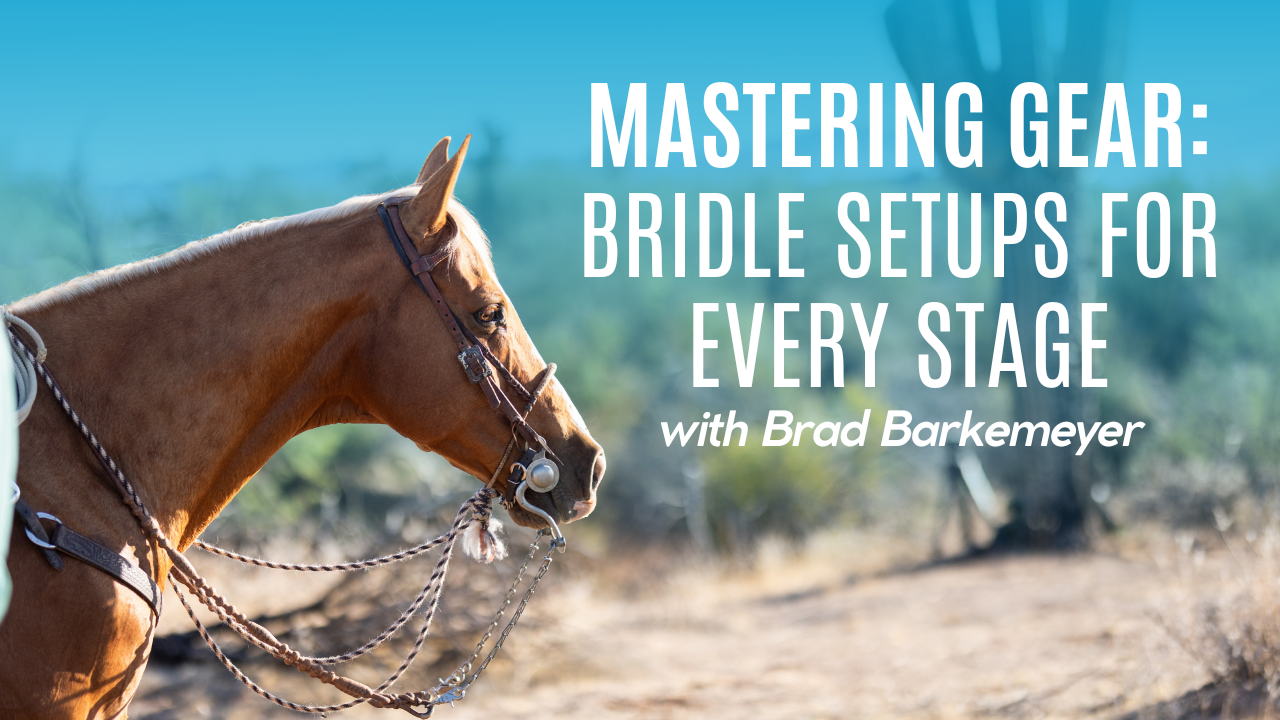 Mastering Gear: Bridle Setups for Every Stage
