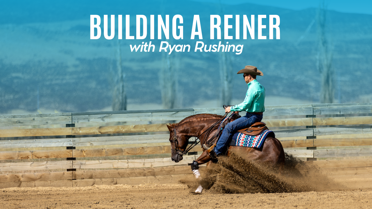 Building a Reiner