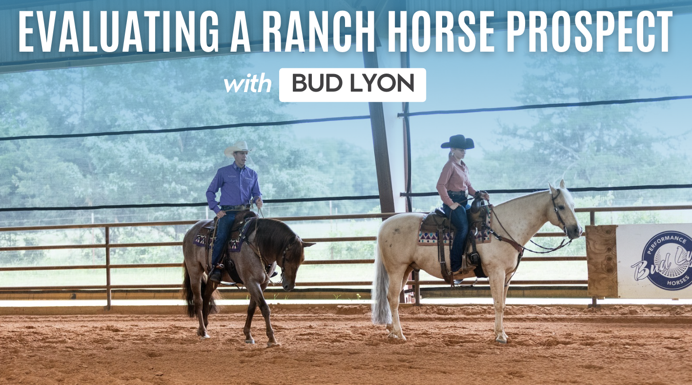 Bud Lyon: Evaluating a Ranch Horse Prospect