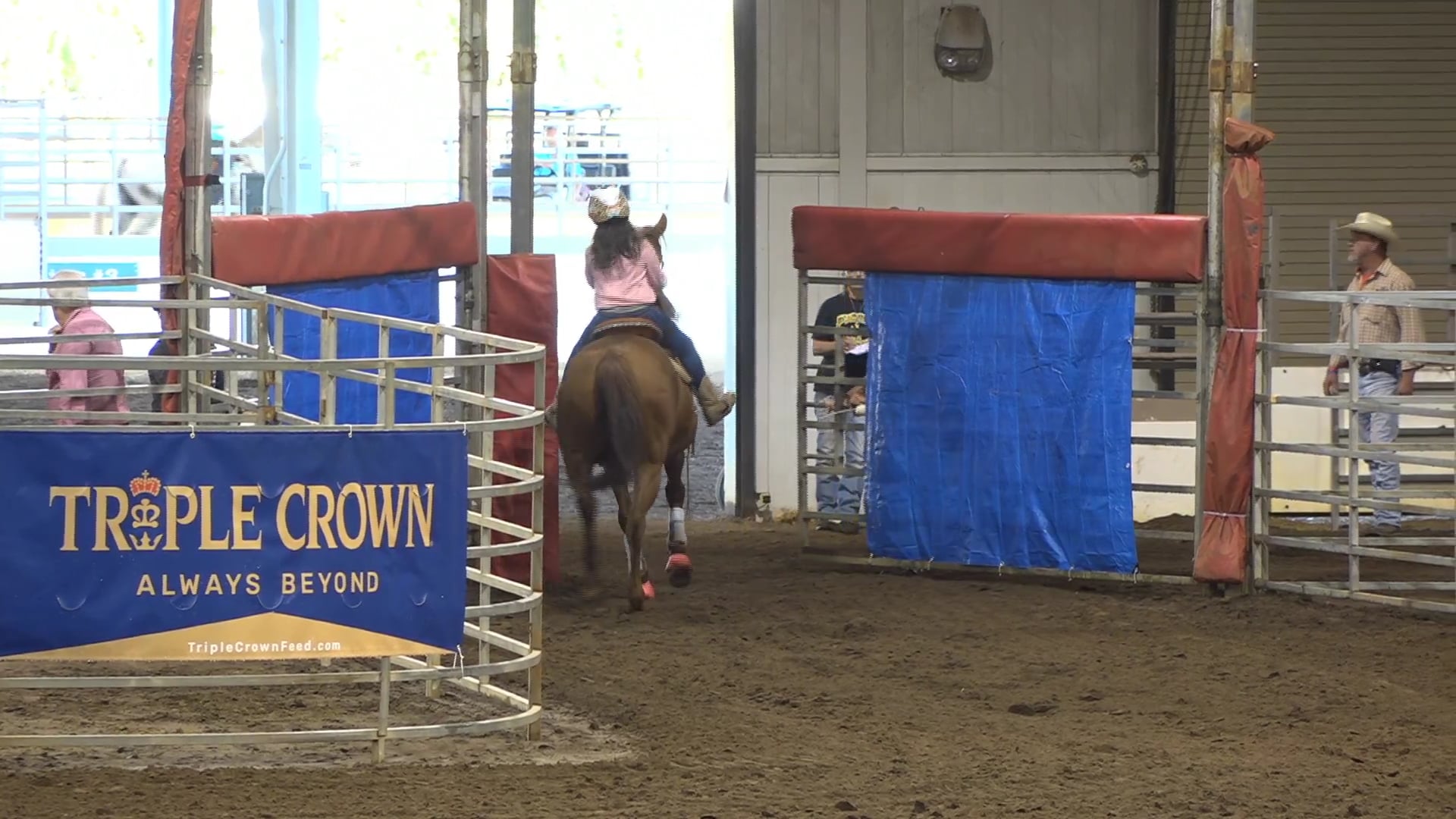 2019 NBHA GA Y1 #101-105