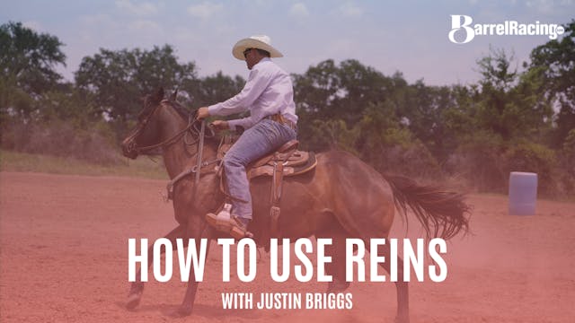 How To Use Reins