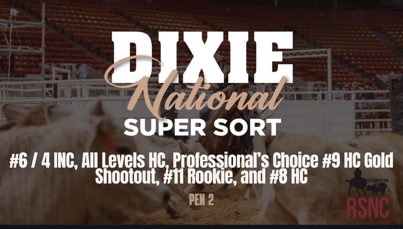 #6 / 4 INC & More | Cinch RSNC Dixie ...