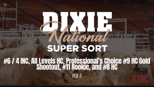 #6 / 4 INC & More | Cinch RSNC Dixie ...