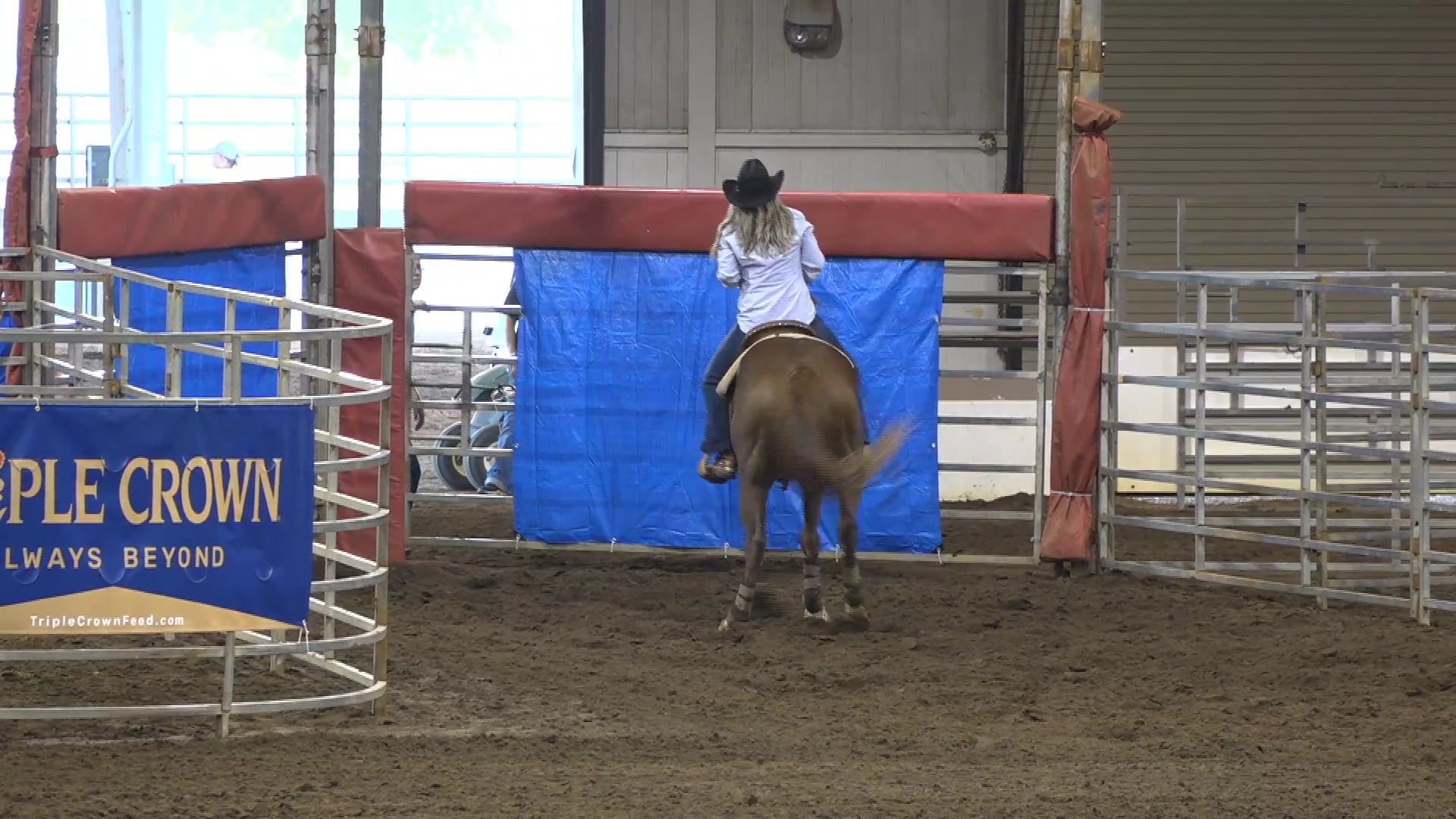 2019 NBHA GA Op1 #476-480