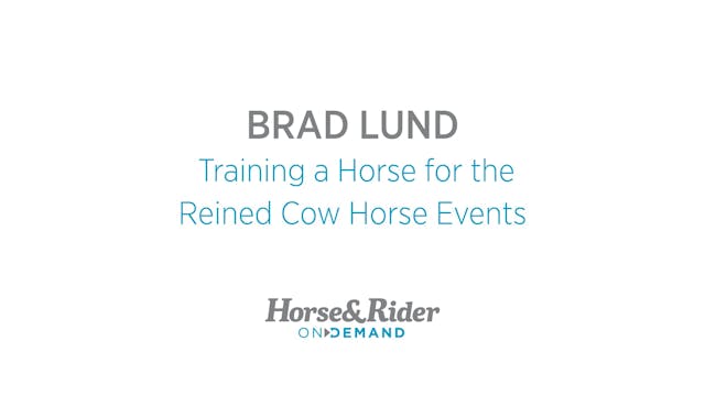 Training a Horse for the Reined Cow H...