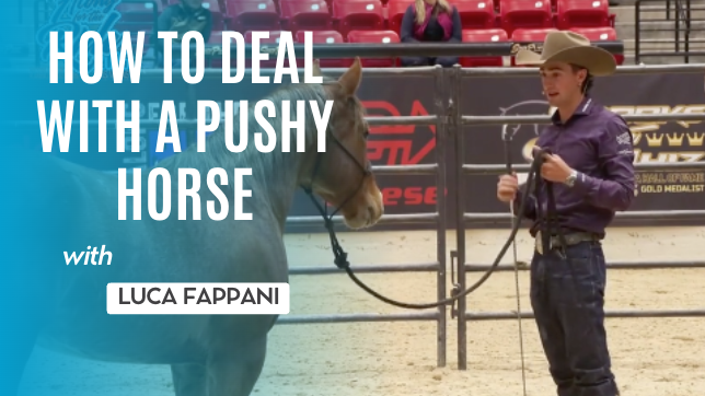 How To Deal With A Pushy Horse