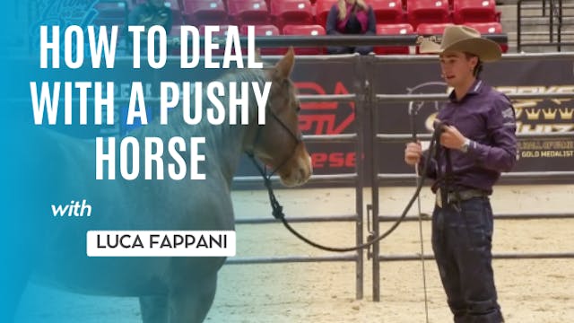 How To Deal With A Pushy Horse