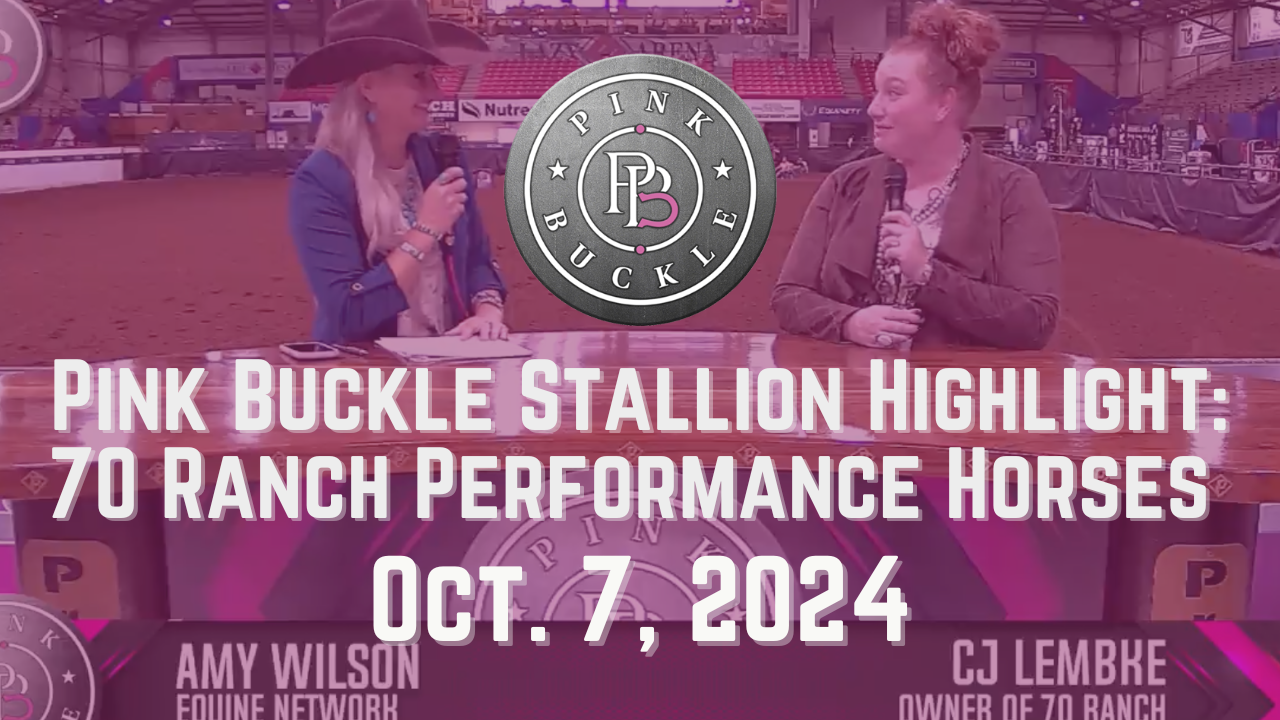 70 Ranch Performance Horses, Stallion Highlight | Pink Buckle | October 7, 2024