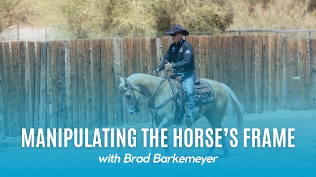 Manipulating The Horse's Frame
