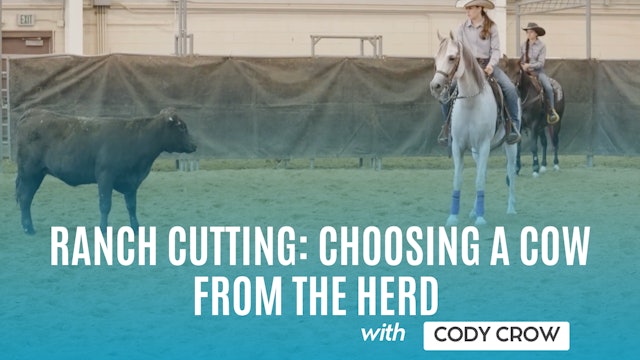 Ranch Cutting: Choosing a Cow From the Herd 