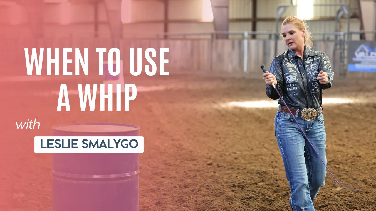 How To Use a Whip - RIDE TV