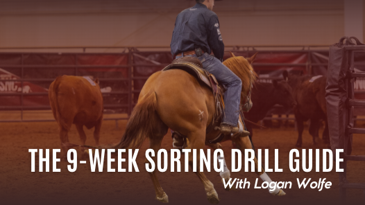 The 9-Week Sorting Drill Guide