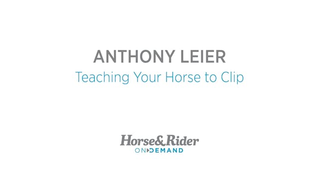 Teaching Your Horse to Clip