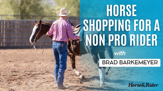Horse Shopping For a Non Pro Rider