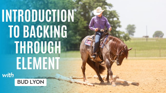 Introduction To Backing Through Element