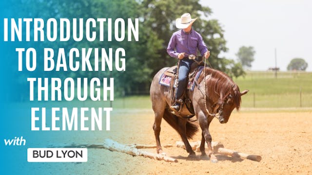 Introduction To Backing Through Element