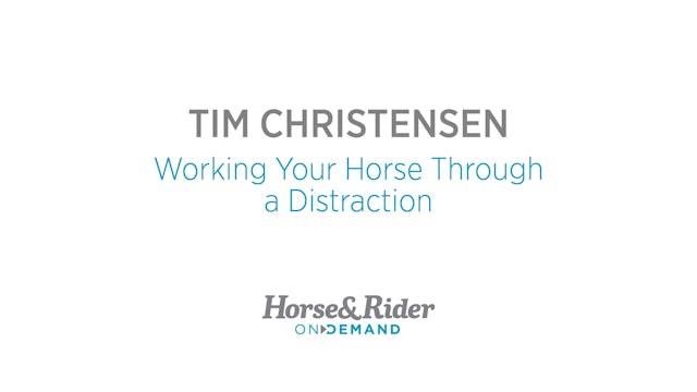 Working Your Horse Through a Distraction