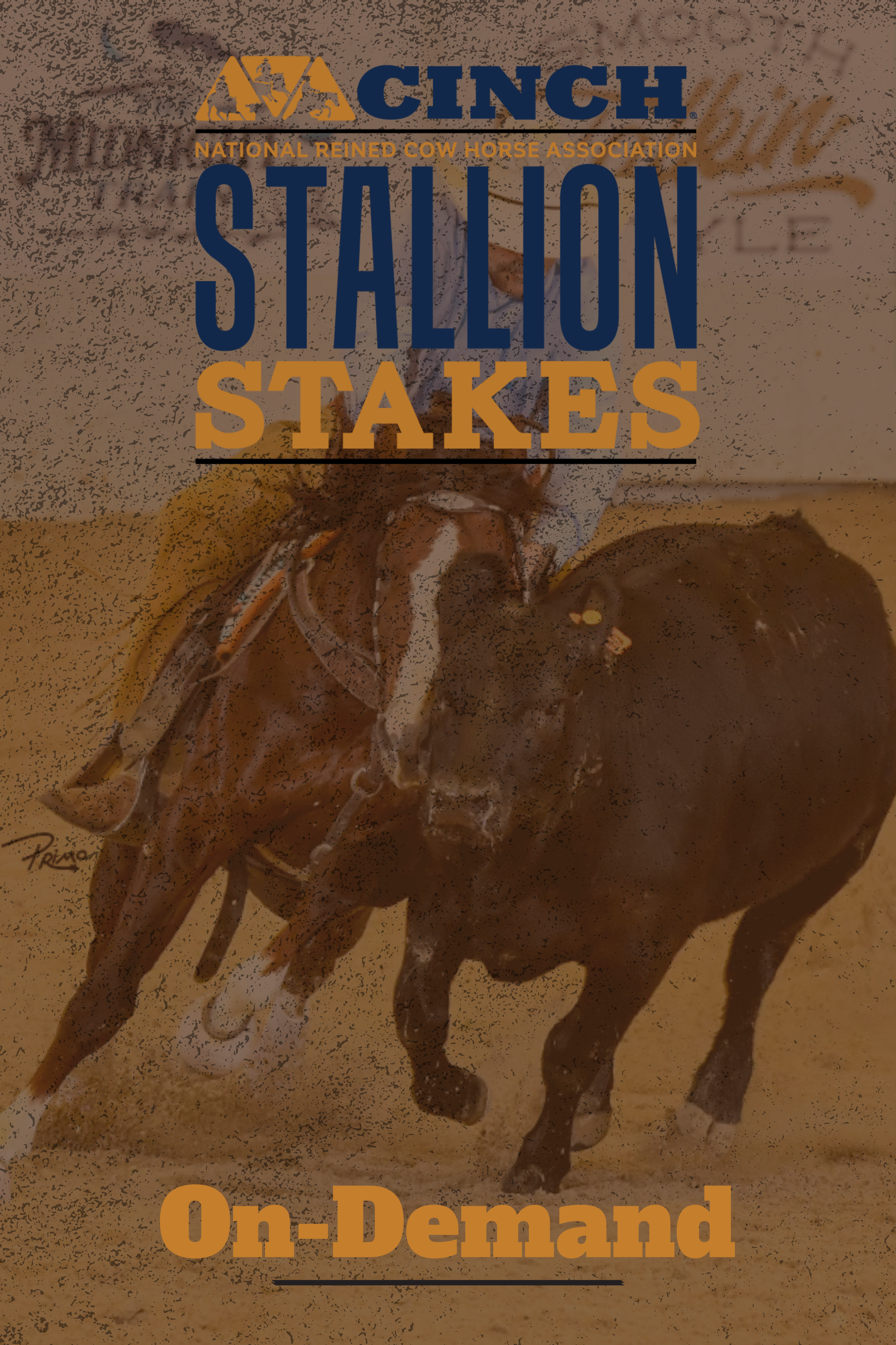 NRCHA Stallion Stakes