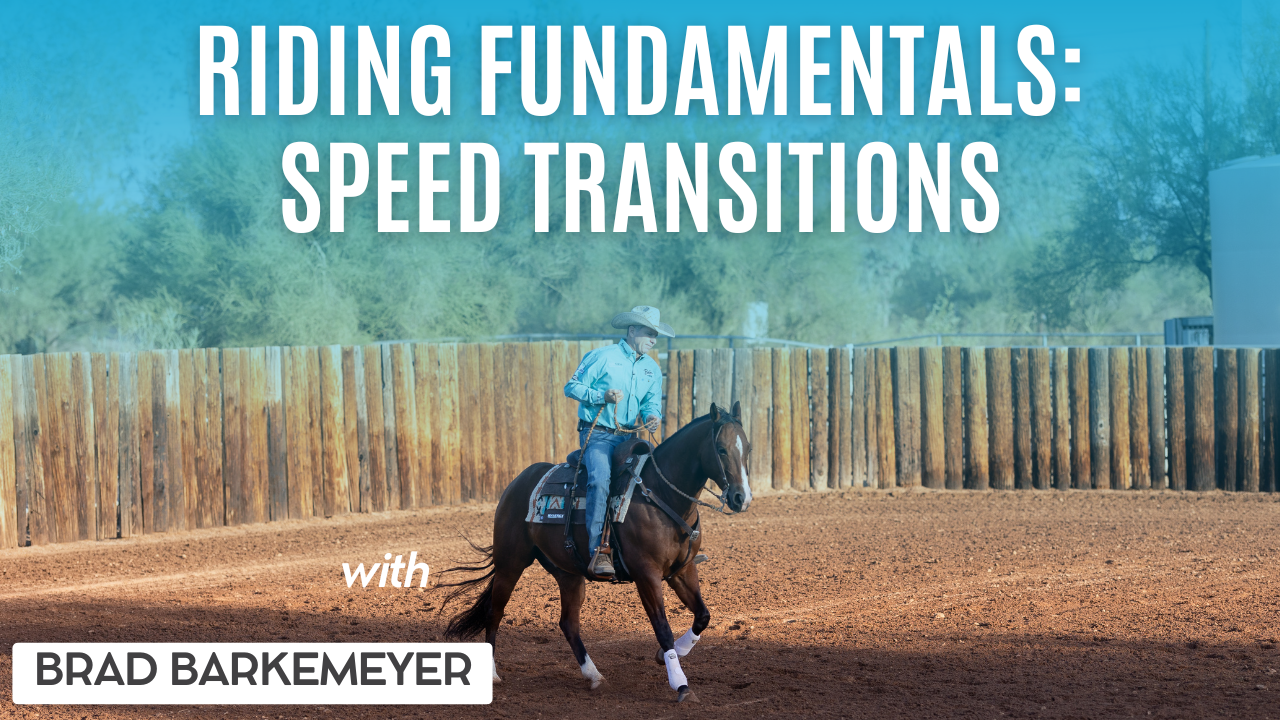 Riding Fundamentals: Speed Transitions