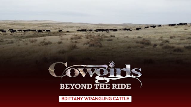 Cowgirls - Brittany Wrangling Cattle