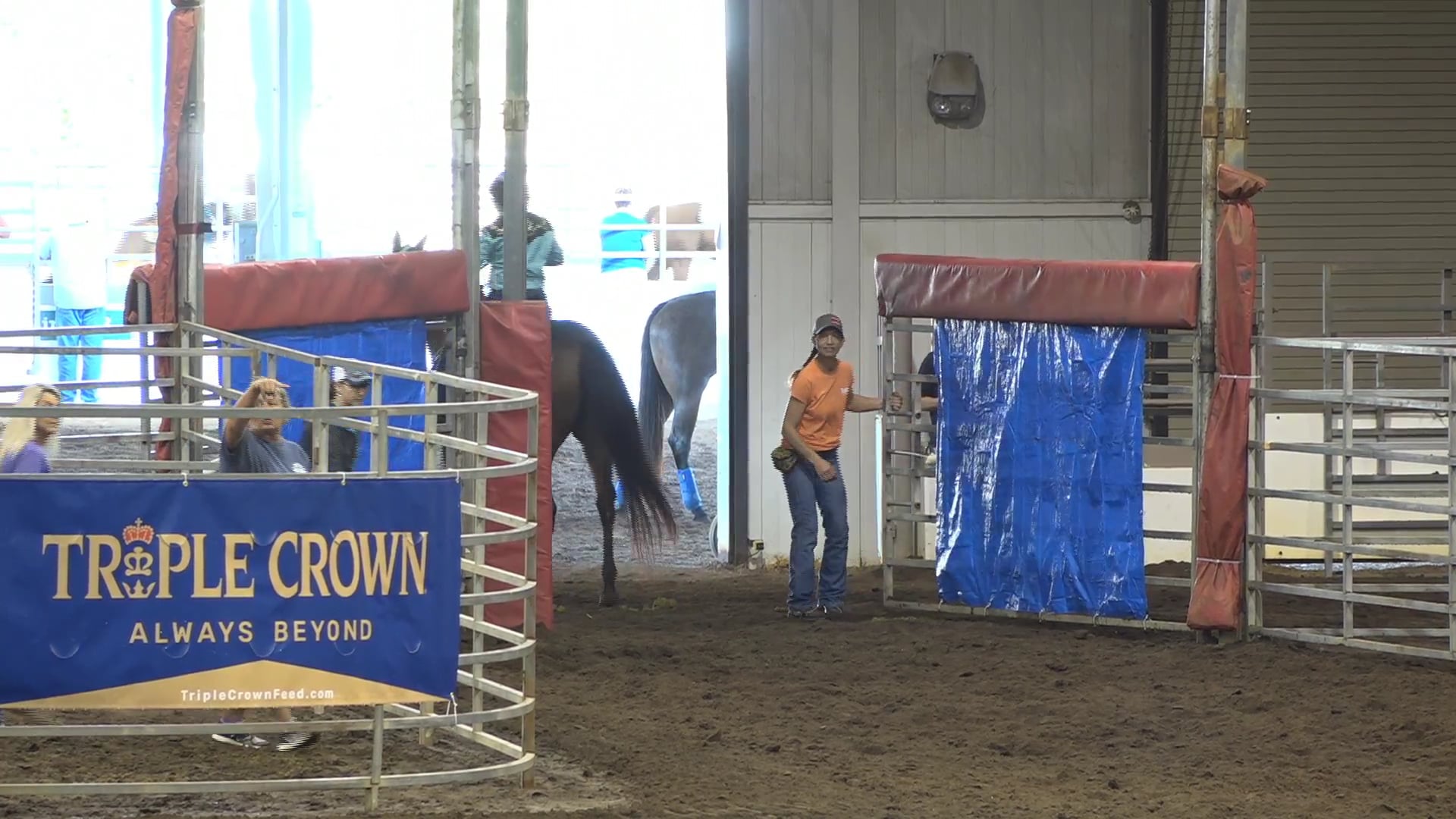 2019 NBHA GA Y1 #141-145