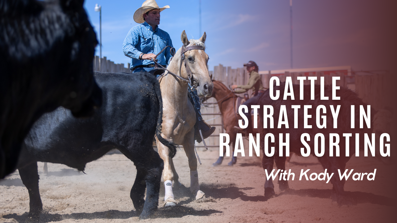 Cattle Strategy in Ranch Sorting