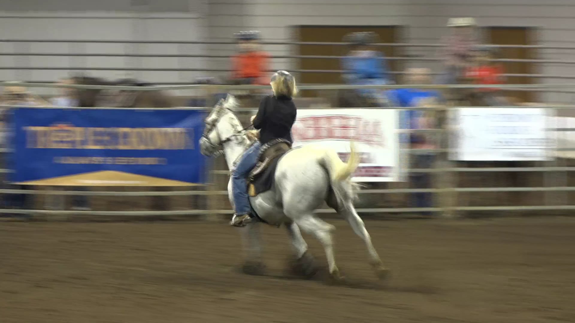 2019 NBHA GA Op1 #061-065