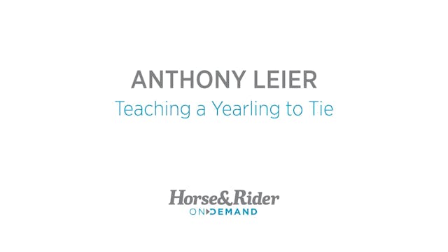 Teaching a Yearling to Tie
