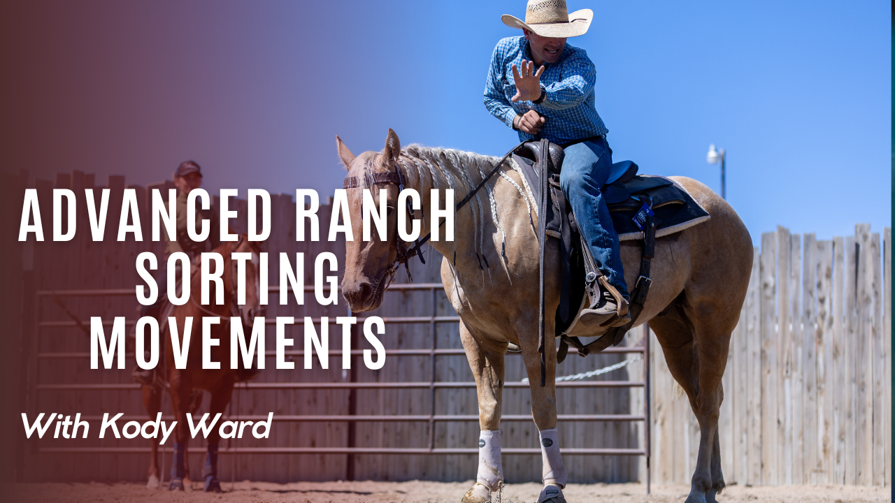 Advanced Ranch Sorting Movements