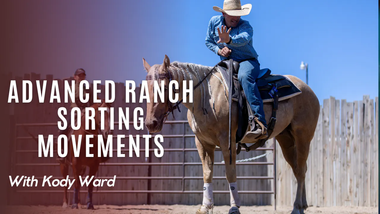 Advanced Ranch Sorting Movements - Sorting Smart with Kody Ward - RIDE TV