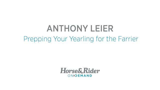 Prepping Your Yearling for the Farrier