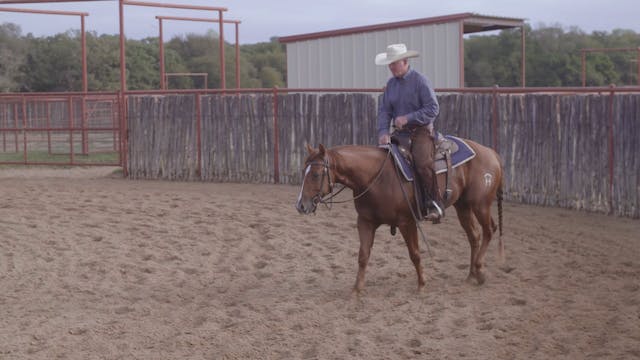 Contact with the Bridle Reins